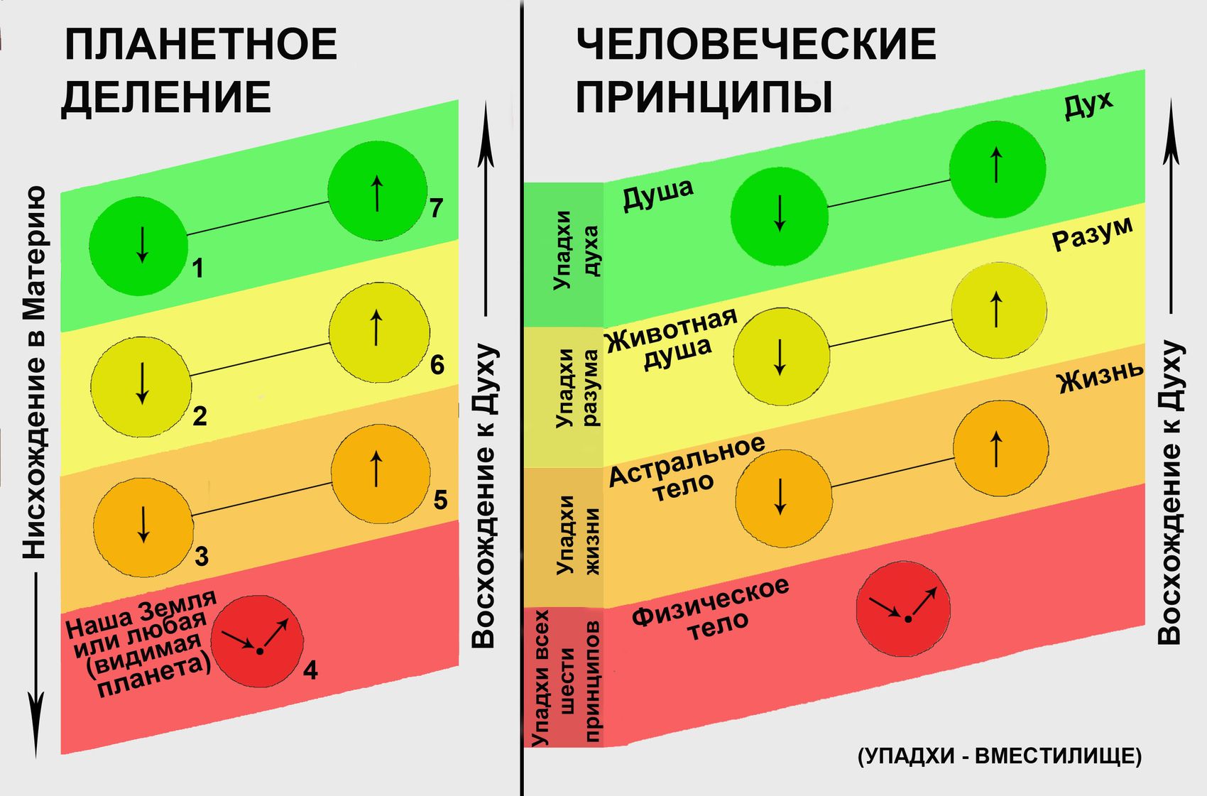 Принцип разума. Человеческие принципы. Планетные принципы в жизни. Упадхи. Разум и живот.